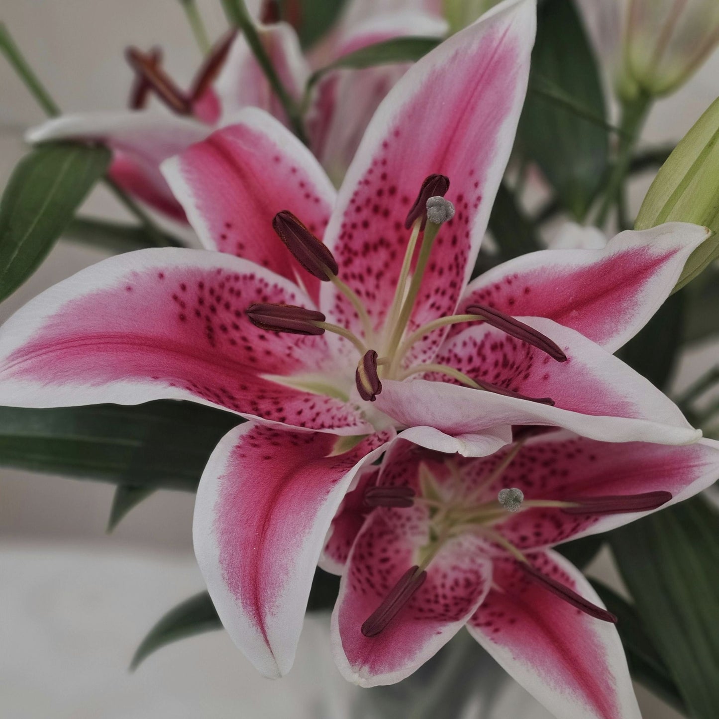 FLOR ORIENTAL
