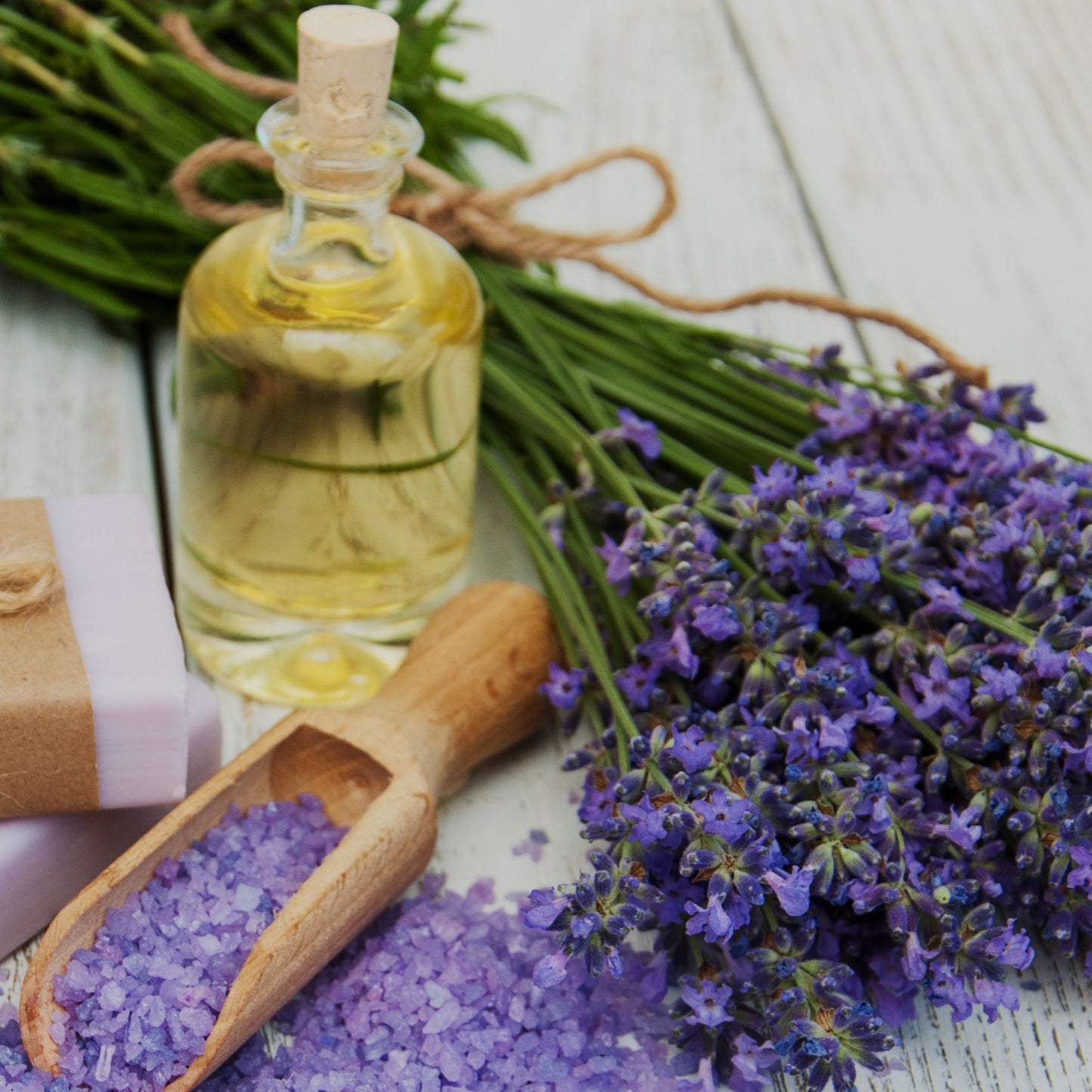 TILO LAVANDA