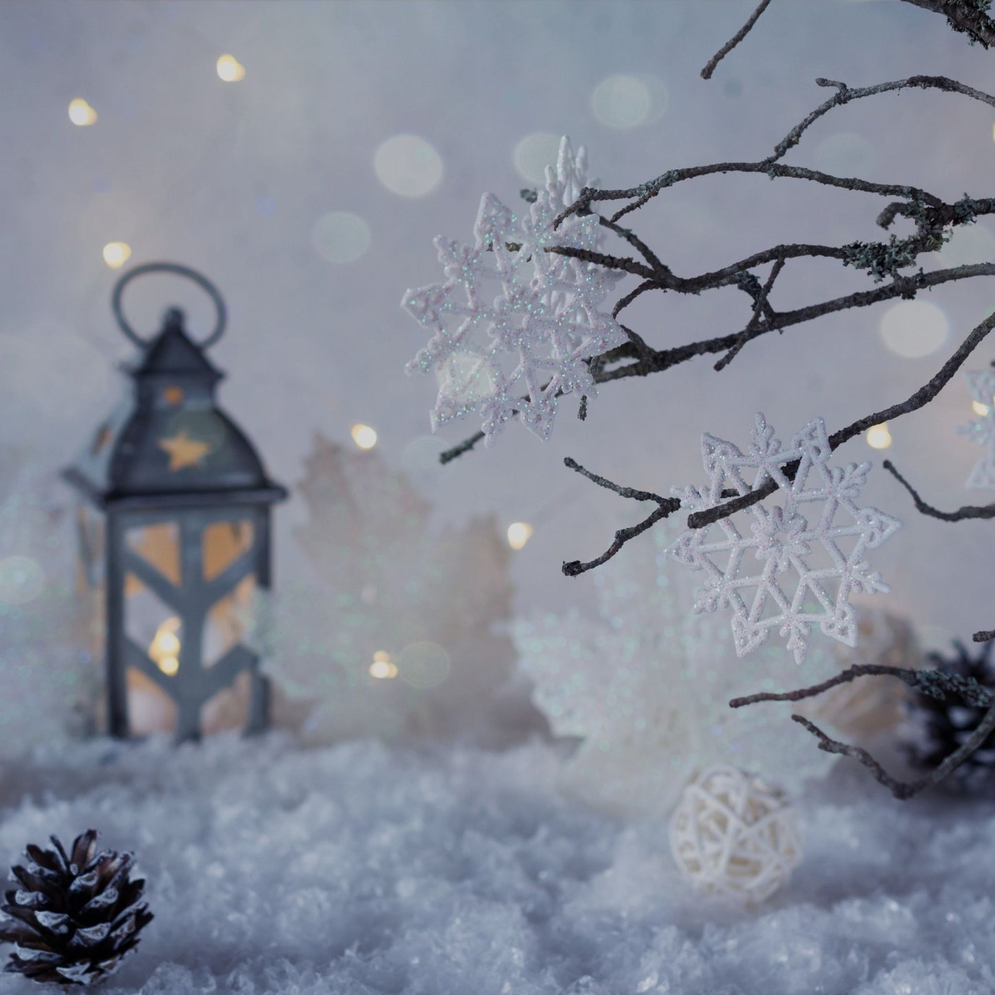 WINTER HOLIDAY