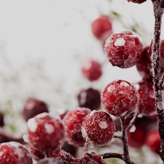 FROZEN BERRIES