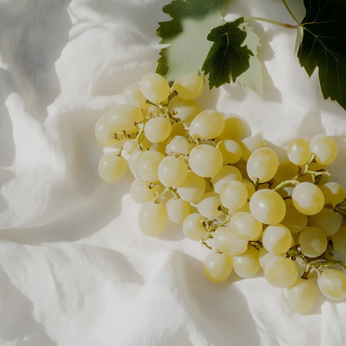 SUGAR GRAPE